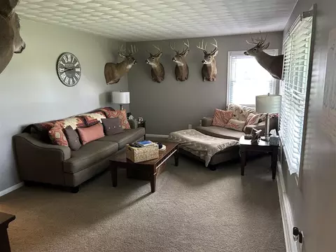 Living - 13830 S Grange, Eagle, MI 48822 photo 1 of 1
