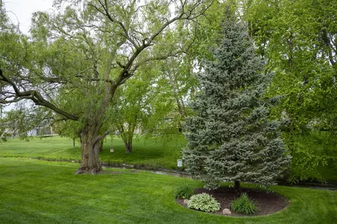 52389 Ridgeway, Macomb, MI 48042 photo 30