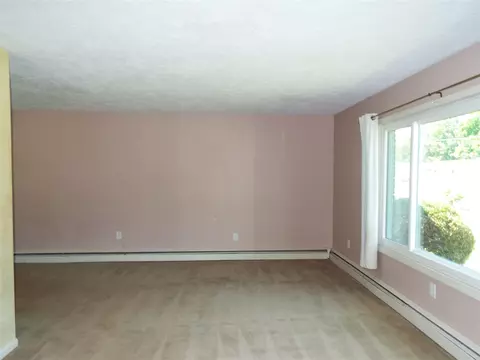 Living - 407 Doty, Leslie, MI 49251 photo 5 of 8
