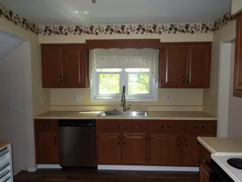 Kitchen - 407 Doty, Leslie, MI 49251 photo 2 of 4