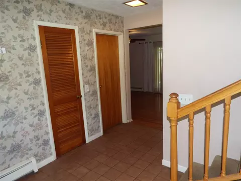 Entry Way - 407 Doty, Leslie, MI 49251 photo 3 of 3