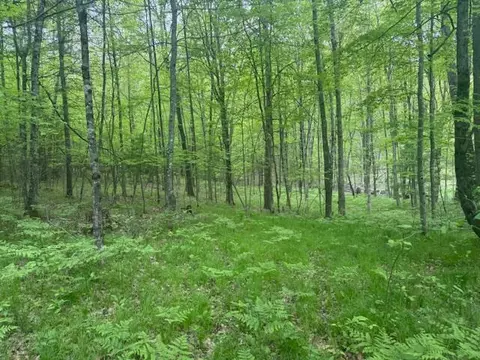 Vl W Timber Trail, Baldwin, MI 49304 photo 5