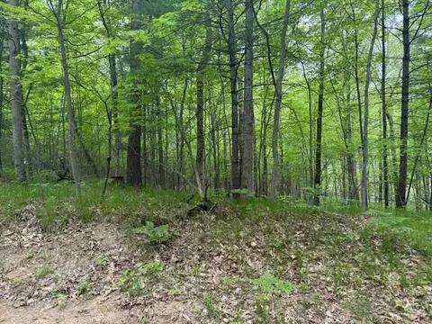 Vl W Timber Trail, Baldwin, MI 49304 photo 19