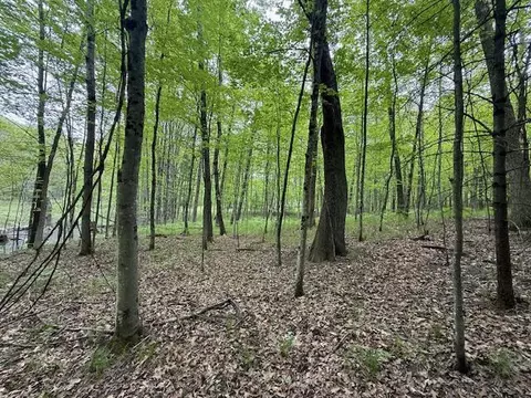 Vl W Timber Trail, Baldwin, MI 49304 photo 4
