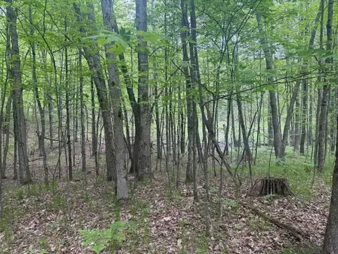 Vl W Timber Trail, Baldwin, MI 49304 photo 10