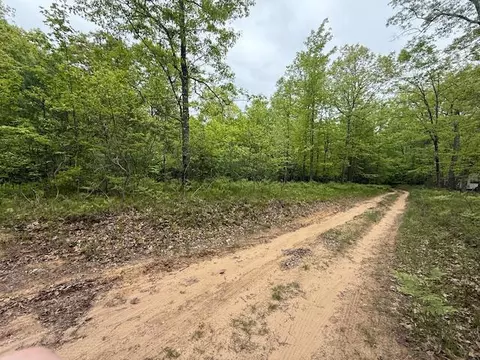 Vl W Timber Trail, Baldwin, MI 49304 photo 17