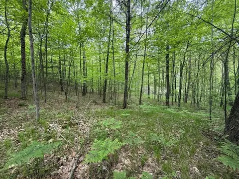Vl W Timber Trail, Baldwin, MI 49304 photo 18