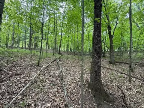 Vl W Timber Trail, Baldwin, MI 49304