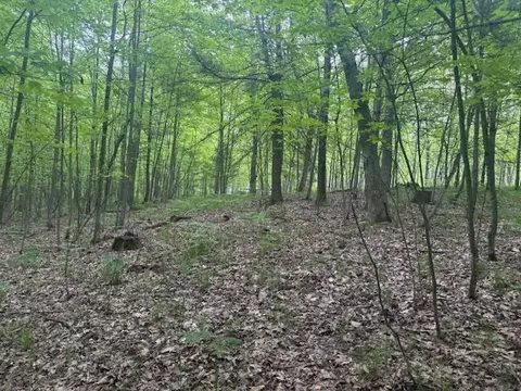 Vl W Timber Trail, Baldwin, MI 49304 photo 13