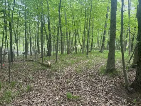 Vl W Timber Trail, Baldwin, MI 49304 photo 11