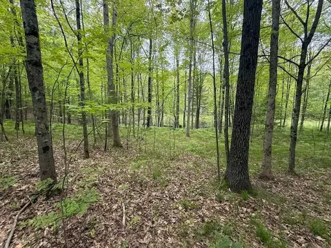 Vl W Timber Trail, Baldwin, MI 49304 photo 8
