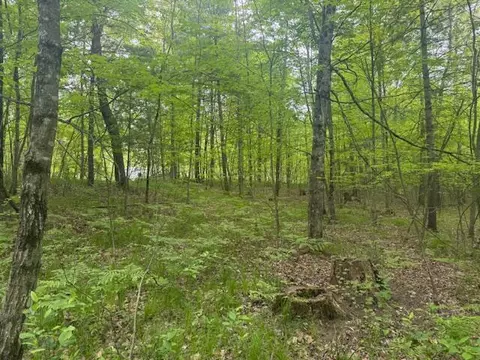 Vl W Timber Trail, Baldwin, MI 49304 photo 7