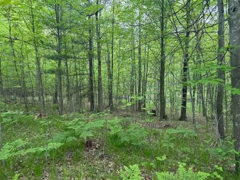 Vl W Timber Trail, Baldwin, MI 49304 photo 21