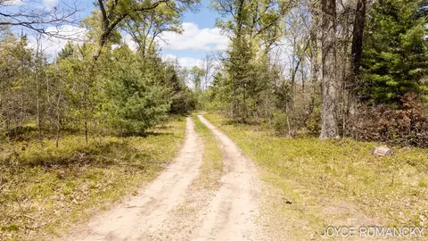 Vl S Peacock, Baldwin, MI 49304 photo 5