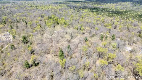 Vl S Peacock, Baldwin, MI 49304 photo 15