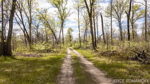 Vl S Peacock, Baldwin, MI 49304 photo 6