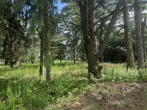 Vl - Lot A Rawson, Vicksburg, MI 49097