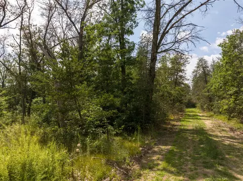 lot S 8-14 St Louis, Idlewild, MI 49642