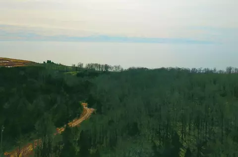 00 Maxey, Arcadia, MI 49613 photo 2
