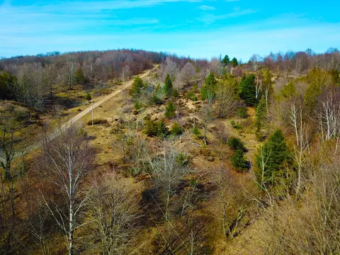 00 Maxey, Arcadia, MI 49613 photo 14