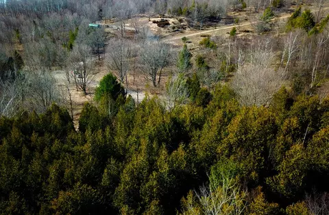 00 Maxey, Arcadia, MI 49613 photo 10