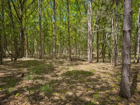 Parcel B E Conrad, Custer, MI 49405 photo 39