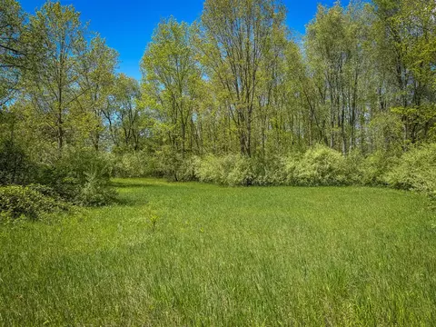 Parcel B E Conrad, Custer, MI 49405 photo 30