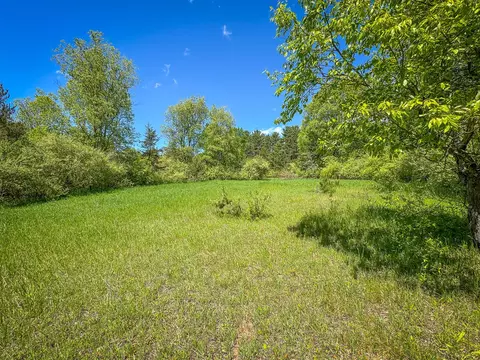 Parcel B E Conrad, Custer, MI 49405 photo 31