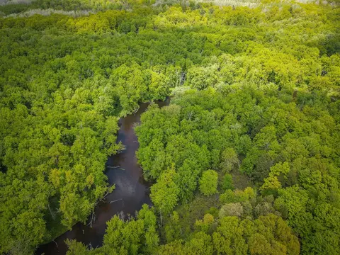 Parcel B E Conrad, Custer, MI 49405 photo 8