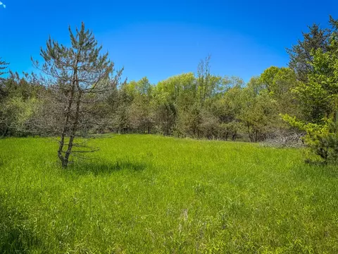 Parcel B E Conrad, Custer, MI 49405 photo 33