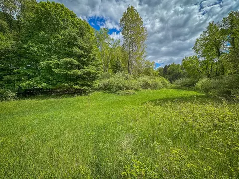 Parcel B E Conrad, Custer, MI 49405 photo 49