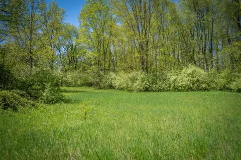 Parcel B E Conrad, Custer, MI 49405 photo 14