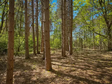 Parcel B E Conrad, Custer, MI 49405 photo 38