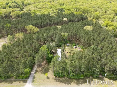 View/Area - 3010 E 96th, Newaygo, MI 49337 photo 1 of 4