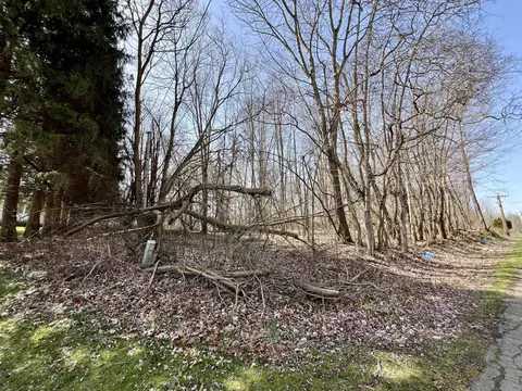 V/l Steininger, Marcellus, MI 49067