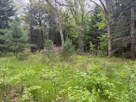 Exterior - 4465 E Old M-63, Luther, MI 49656 photo 6 of 19
