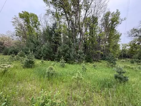 Other - 4465 E Old M-63, Luther, MI 49656 photo 6 of 7