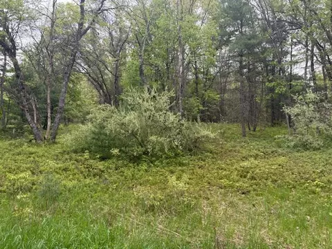 Exterior - 4465 E Old M-63, Luther, MI 49656 photo 17 of 19