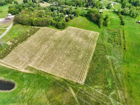 136 E Snow, Baroda, MI 49101