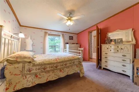 8279 Luce, Alanson, MI 49706 photo 22