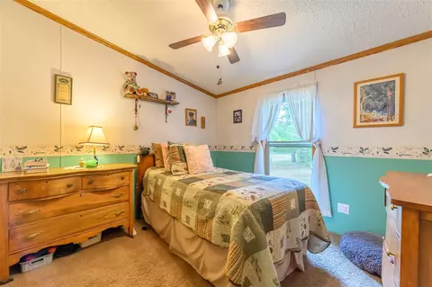 8279 Luce, Alanson, MI 49706 photo 32