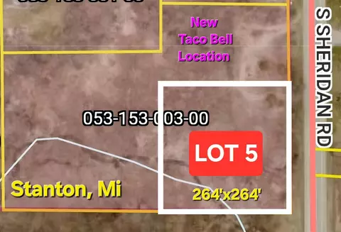 5 South State Street, Stanton, MI 48888