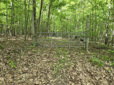 4500 W Wise, Greenville, MI 48884