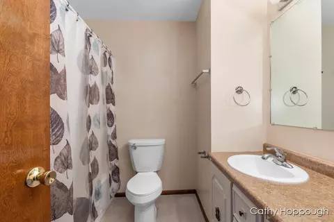 686 E Tuttle, Ionia, MI 48846 photo 13