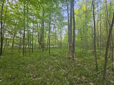 V/l Mannsiding Rd, Harrison, MI 48625 photo 6