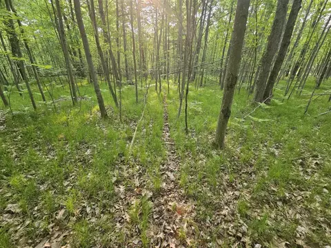 V/l Mannsiding Rd, Harrison, MI 48625 photo 9
