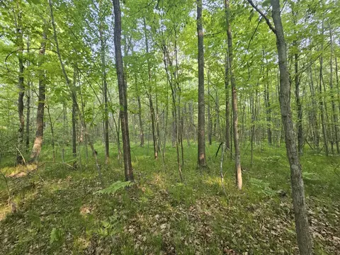 V/l Mannsiding Rd, Harrison, MI 48625 photo 2