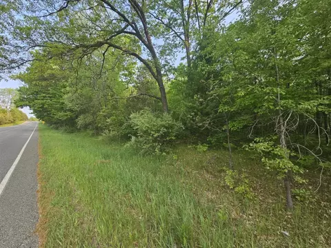 V/l Mannsiding Rd, Harrison, MI 48625 photo 4