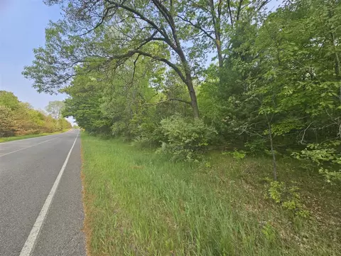 V/l Mannsiding Rd, Harrison, MI 48625 photo 3