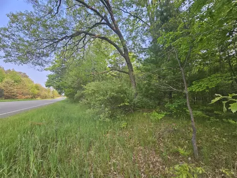 V/l Mannsiding Rd, Harrison, MI 48625 photo 5